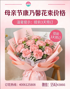淮南谢家集区花店母亲节康乃馨花束