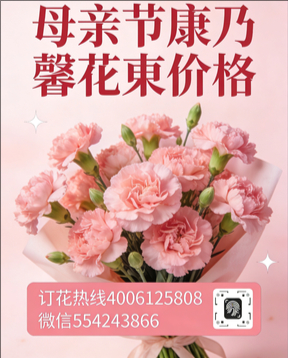 淮南谢家集区花店母亲节康乃馨花束